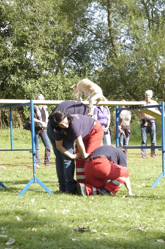 Klicken für nächstes Bild